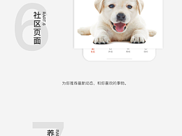 APP界面展示