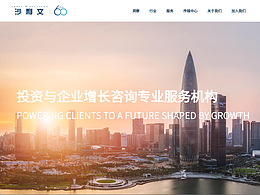 【雅黑案例】沙利文 咨询服务机构网站建设