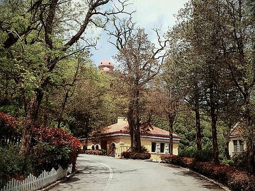 山路紫藤海水，哥特式洛可可，各种青岛街拍美图