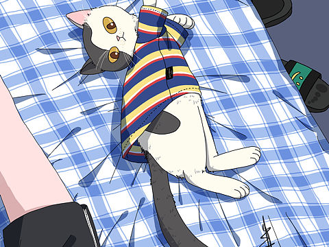 喵喵～