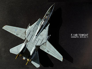 1:72 美国海军重型舰载战斗机 f-14b tomcat 熊猫