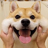 画画的云里的头像