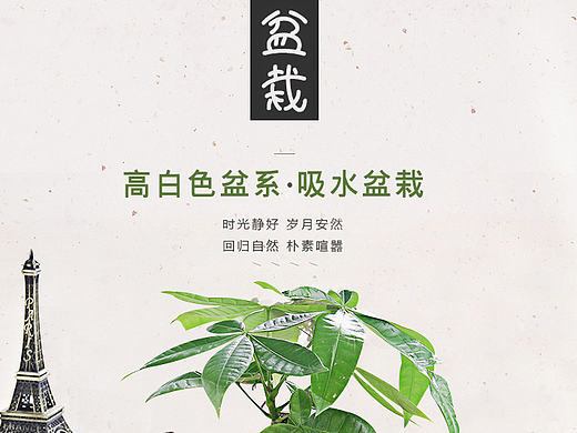 盆栽（个人主页-ZMTk4MjA3Njg=） - 其他平面 - 站酷设计师起风了设计工作室原创素材 - 站酷ZCOOL