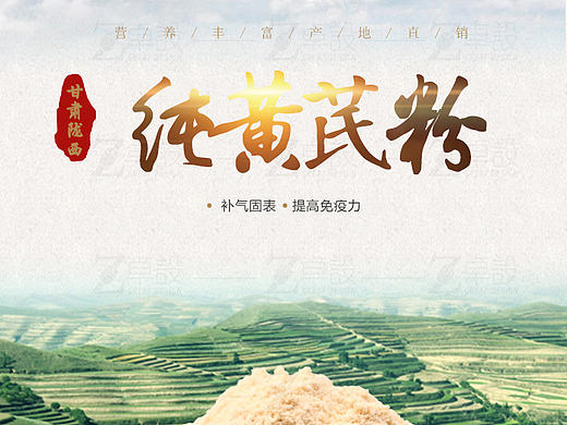 黄芪粉