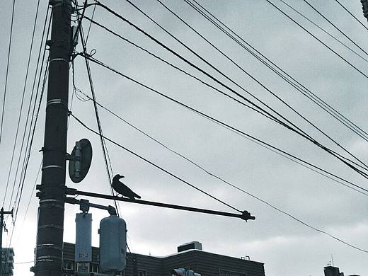 日本