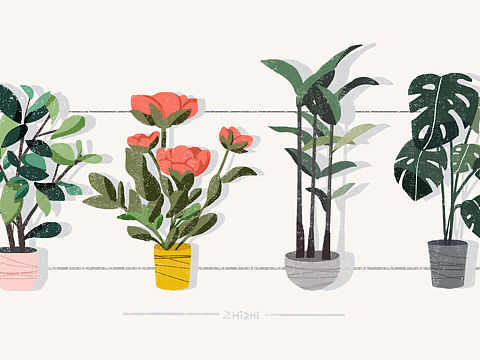 植物扁平插画