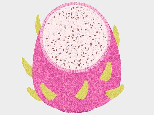 水果插画