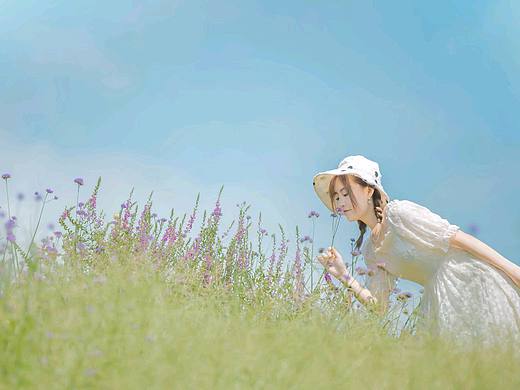 这个夏天,万事胜意