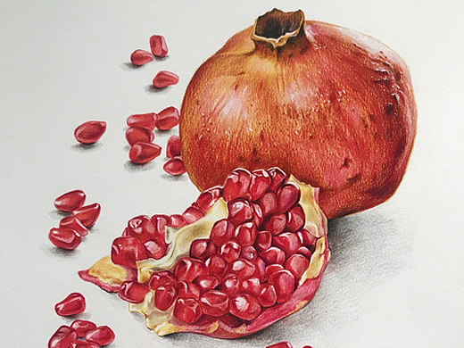 彩铅石榴