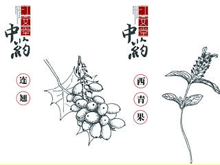 江安堂中药包装设计