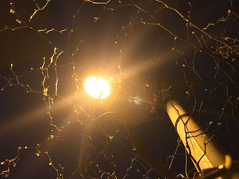 i7原相机真的尽力了！（个人主页-ZNDQzMTExNDA=） - 风光摄影 - 站酷设计师Z29505205原创素材 - 站酷ZCOOL