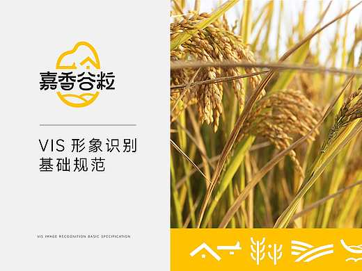 嘉香谷粒vis-基础系统