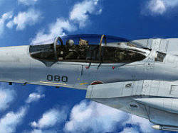 航空绘画新作：日本空自F15-DJ（个人主页-ZMjk3NTkxMg==） - 商业插画 - 站酷设计师蓝蚊子原创素材 - 站酷ZCOOL