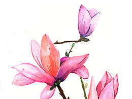 插画练习
