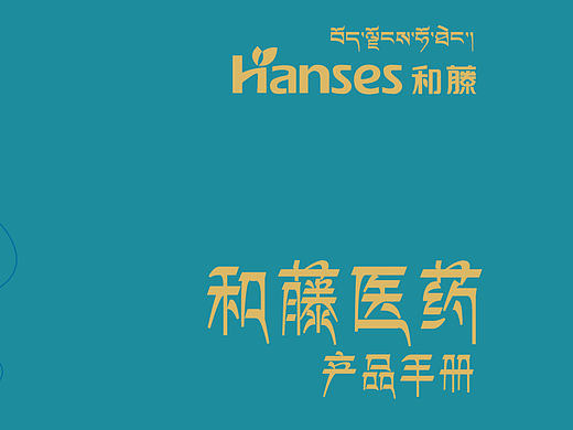 和藤医药产品画册|食品包装设计