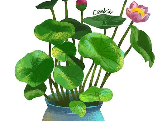 插画小练习（个人主页-ZNTQxNjk3NTI=） - 创作习作 - 站酷设计师曲奇祺原创素材 - 站酷ZCOOL