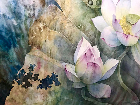 · 荷花 ·