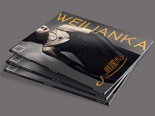 VIS品牌视觉形象规划设计