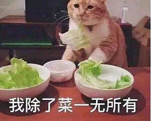 十二月个人作品混剪