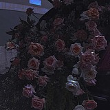 药性轩尼诗的头像