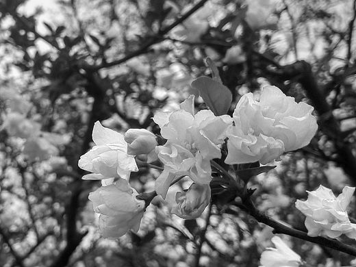 太子湾，莫黑白（个人主页-ZMTU2Njc0MTI=） - 风光摄影 - 站酷设计师IDxSun原创素材 - 站酷ZCOOL