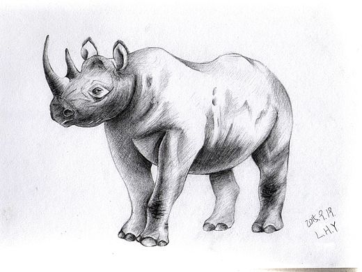 犀牛（個(gè)人主頁(yè)-ZMTQwNTE1NzI=） - 創(chuàng)作習(xí)作 - 站酷設(shè)計(jì)師sunshine0504原創(chuàng)素材 - 站酷ZCOOL