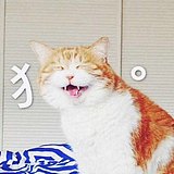 mooncakemew的头像
