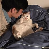 香菇媽的头像