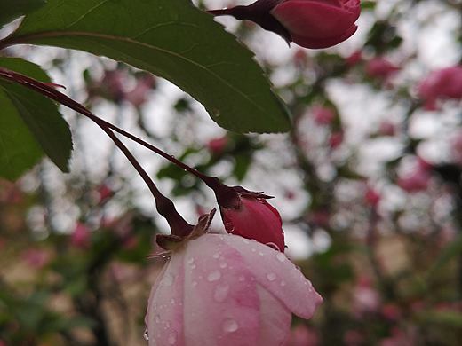 每日一拍007（个人主页-ZMzQ2NjM0NTI=） - 风光摄影 - 站酷设计师芝草晟林原创素材 - 站酷ZCOOL