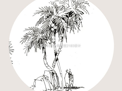 <<园林景观考研手绘>>—-植物单体表现
