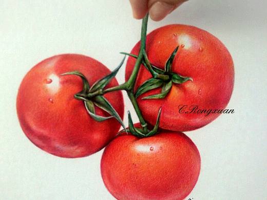 【溶萱手绘——彩铅蔬菜】Tomato(๑•ั็ω•็ั๑)