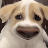 怎么能画好效果图的头像