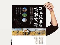 精品米宣传海报（个人主页-ZMzI5ODM4OA==） - 其他 - 站酷设计师摄影师酱壶原创素材 - 站酷ZCOOL