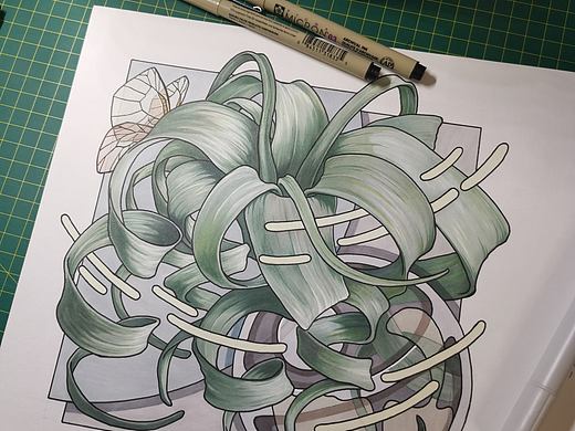 画个空气凤梨🦋