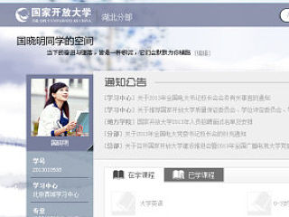 网页皮肤