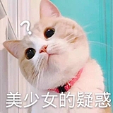 多多Dora的头像