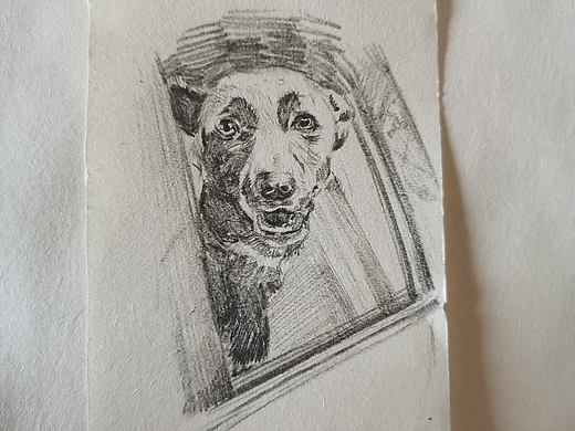 狗子（個(gè)人主頁(yè)-ZMzk5NDA5OTI=） - 創(chuàng)作習(xí)作 - 站酷設(shè)計(jì)師河順原創(chuàng)素材 - 站酷ZCOOL