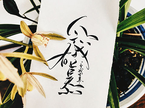 手写菊花体设计