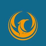 YFSA的头像