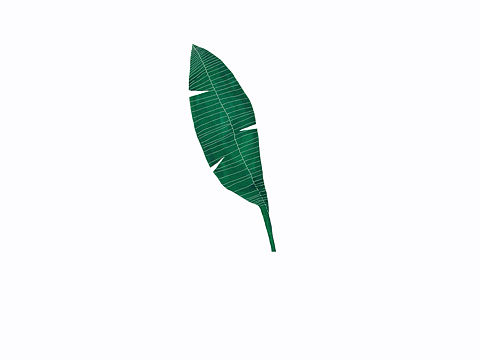 芭蕉叶（个人主页-ZMTU2Njg3NDg=） - 图案 - 站酷设计师Kokomomo原创素材 - 站酷ZCOOL