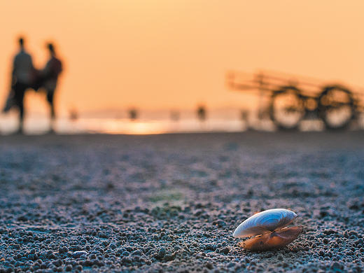 沙子？还是贝壳？（个人主页-ZMTkxMDQ4NTY=） - 风光摄影 - 站酷设计师黄贱溅原创素材 - 站酷ZCOOL