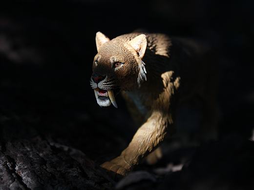 大飞GK模型，秋日新外拍，关于大猩猩和刃齿虎（他们是同一个时代吗？）