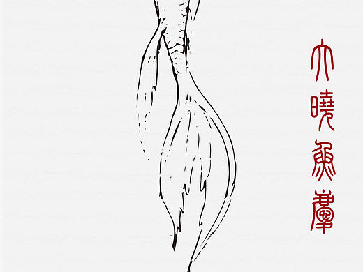 大鱼晓庆！
