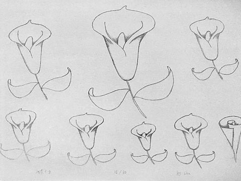 喜欢什么样的人 那就成为那样的人