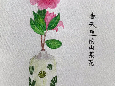 山茶花（个人主页-ZNTA5MjAwOTI=） - 艺术插画 - 站酷设计师Z93442378原创素材 - 站酷ZCOOL