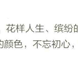 宿颜 品牌标识设计