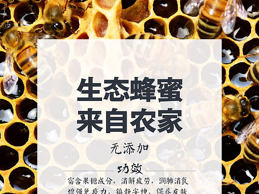 蜂蜜海报设计