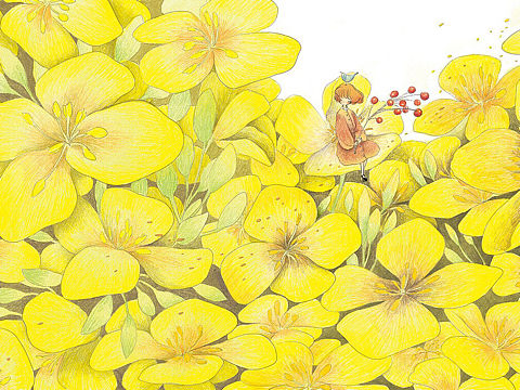 文创插画｜秋天来过