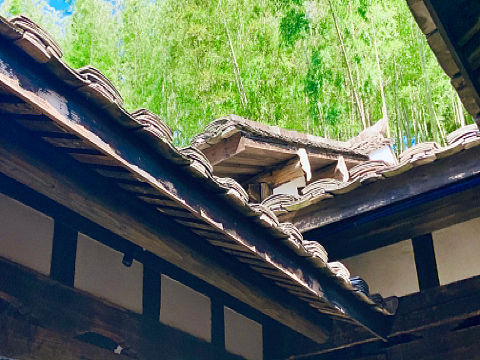 叶中香 X 觉匠 振兴乡村品牌策划（个人主页-ZNTQzNDI1MDg=） - 包装 - 站酷设计师觉匠品牌研究社原创素材 - 站酷ZCOOL