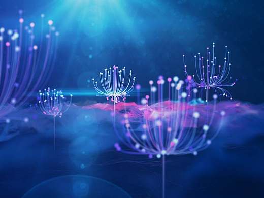 Ae中级Plexus教程宣传视频